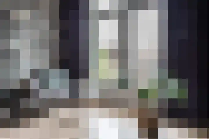 Kloppersingel 25 Haarlem thumbnail 31