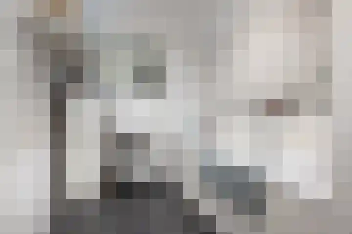 Kloppersingel 25 Haarlem thumbnail 32