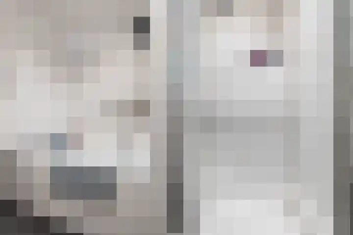 Kloppersingel 25 Haarlem thumbnail 33