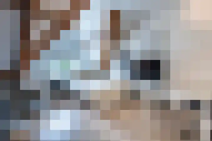 Kloppersingel 25 Haarlem thumbnail 35