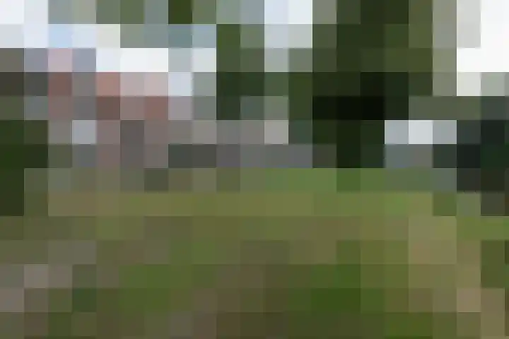 Kloppersingel 25 Haarlem thumbnail 4