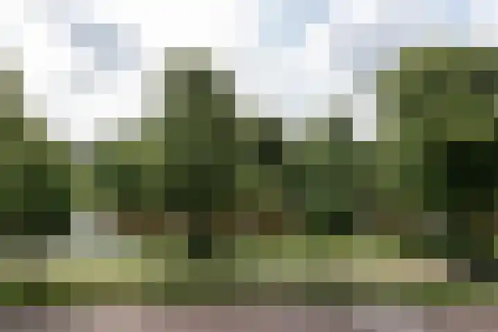 Kloppersingel 25 Haarlem thumbnail 46