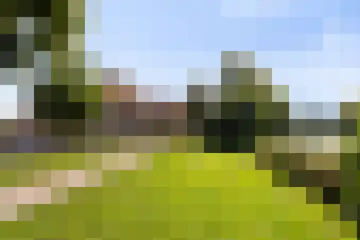 Kloppersingel 97 Haarlem thumbnail 5