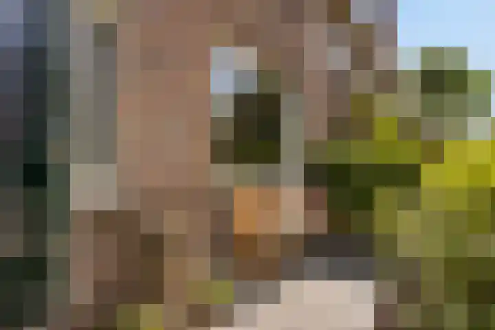 Kloppersingel 97 Haarlem thumbnail 6