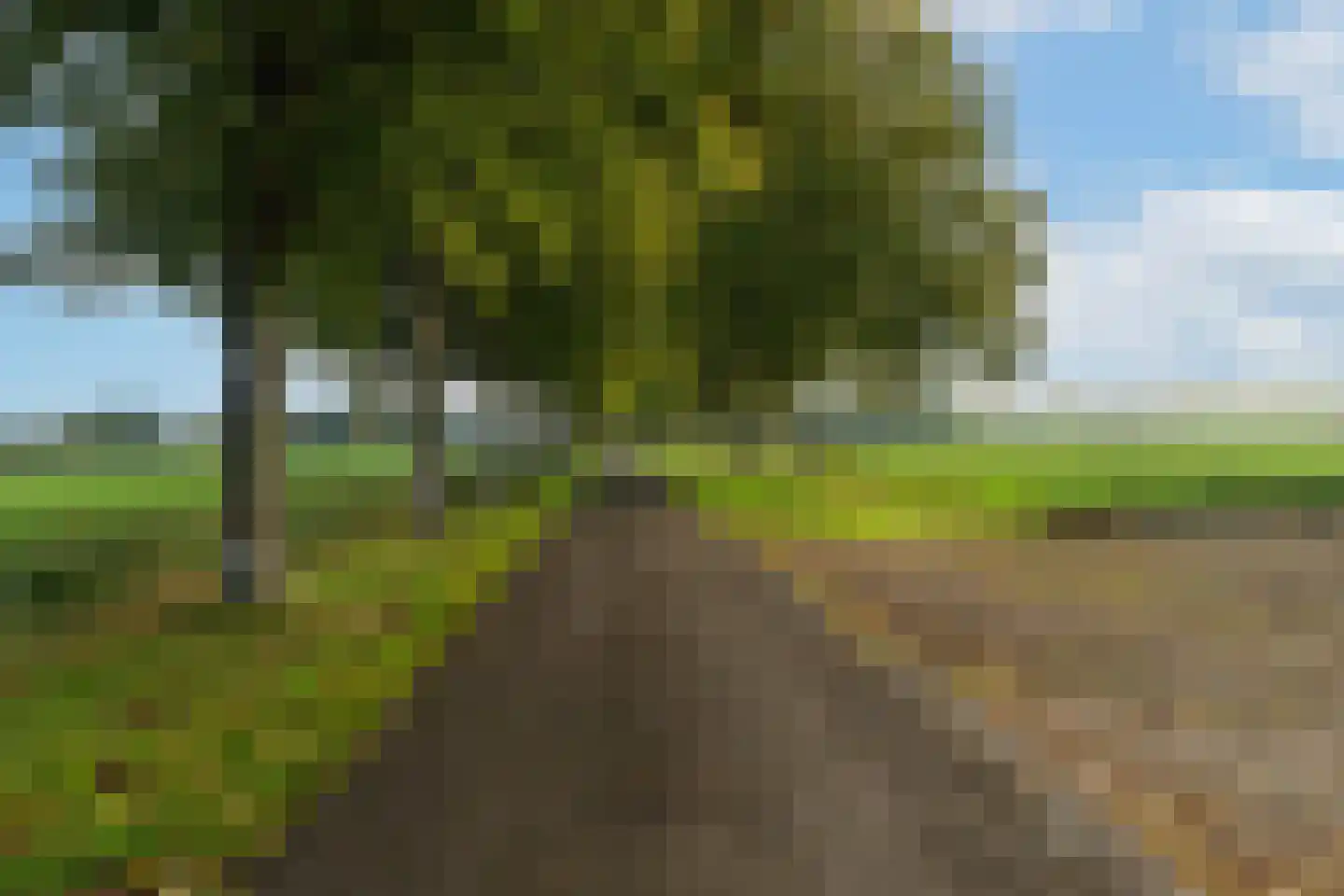 Kloppersteeg 2 Waspik thumbnail 14