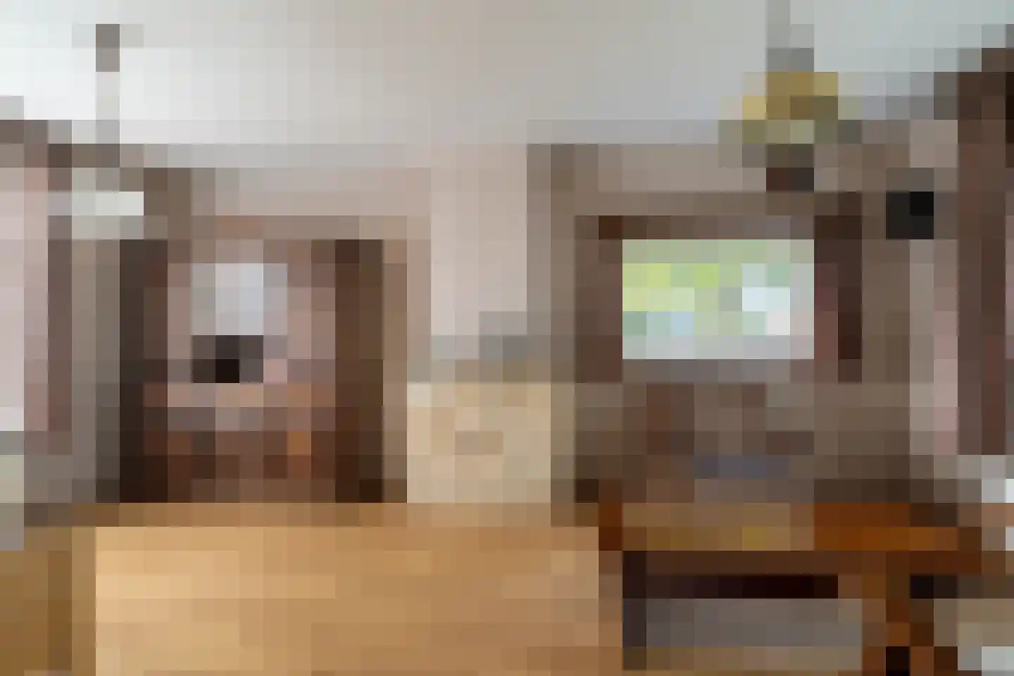 Kloppersteeg 2 Waspik thumbnail 20
