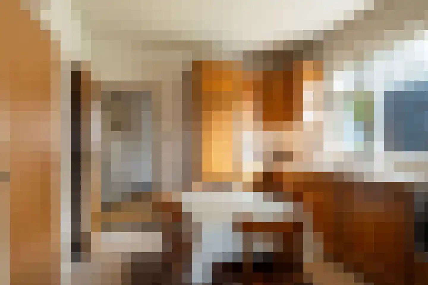 Kloppersteeg 2 Waspik thumbnail 25