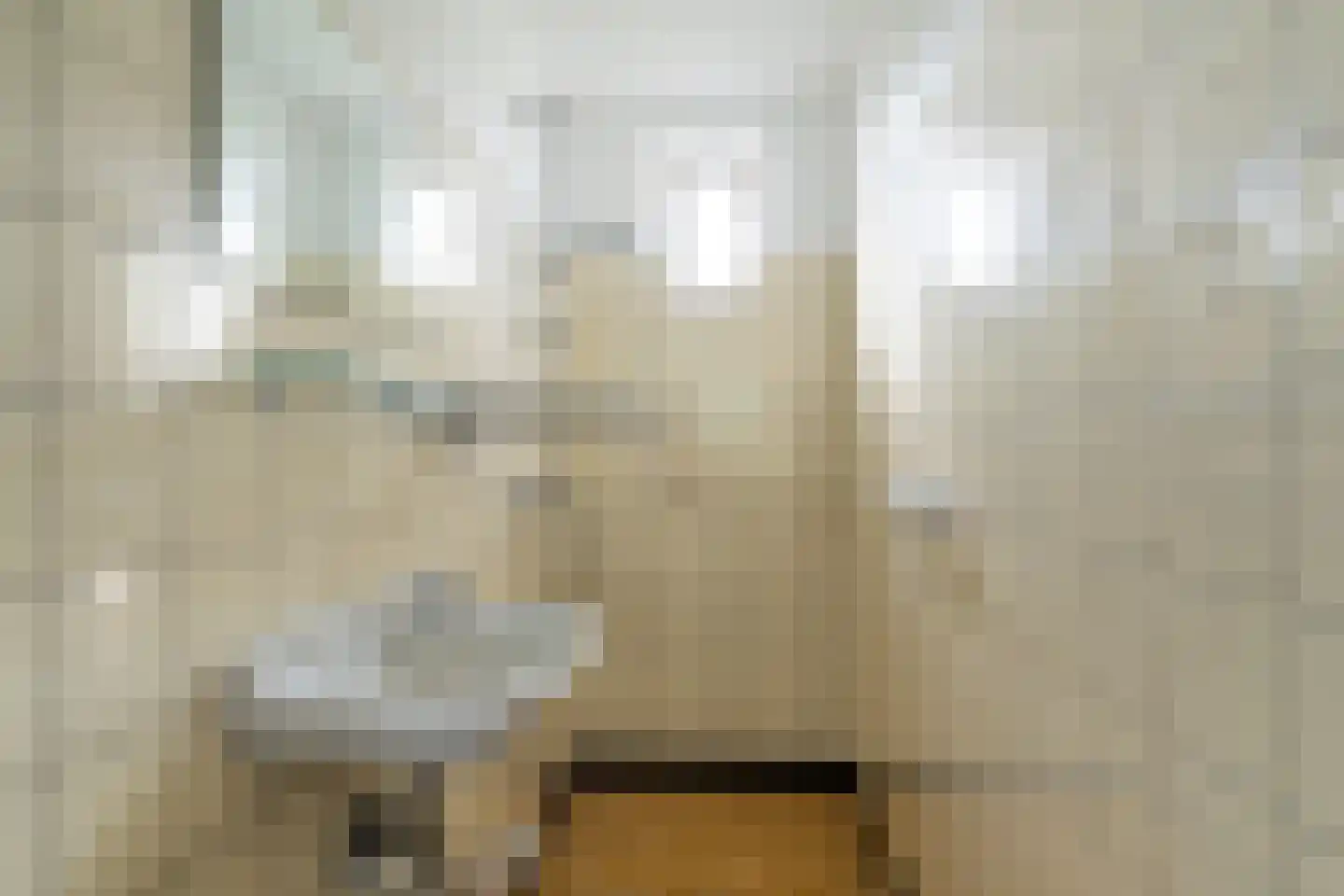 Kloppersteeg 2 Waspik thumbnail 39