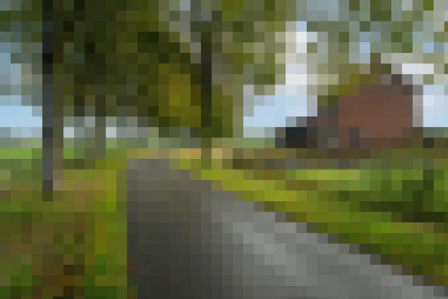 Kloppersteeg 2 Waspik thumbnail 5