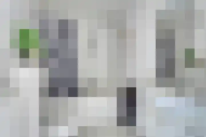Klosruwe 9 Maastricht thumbnail 19