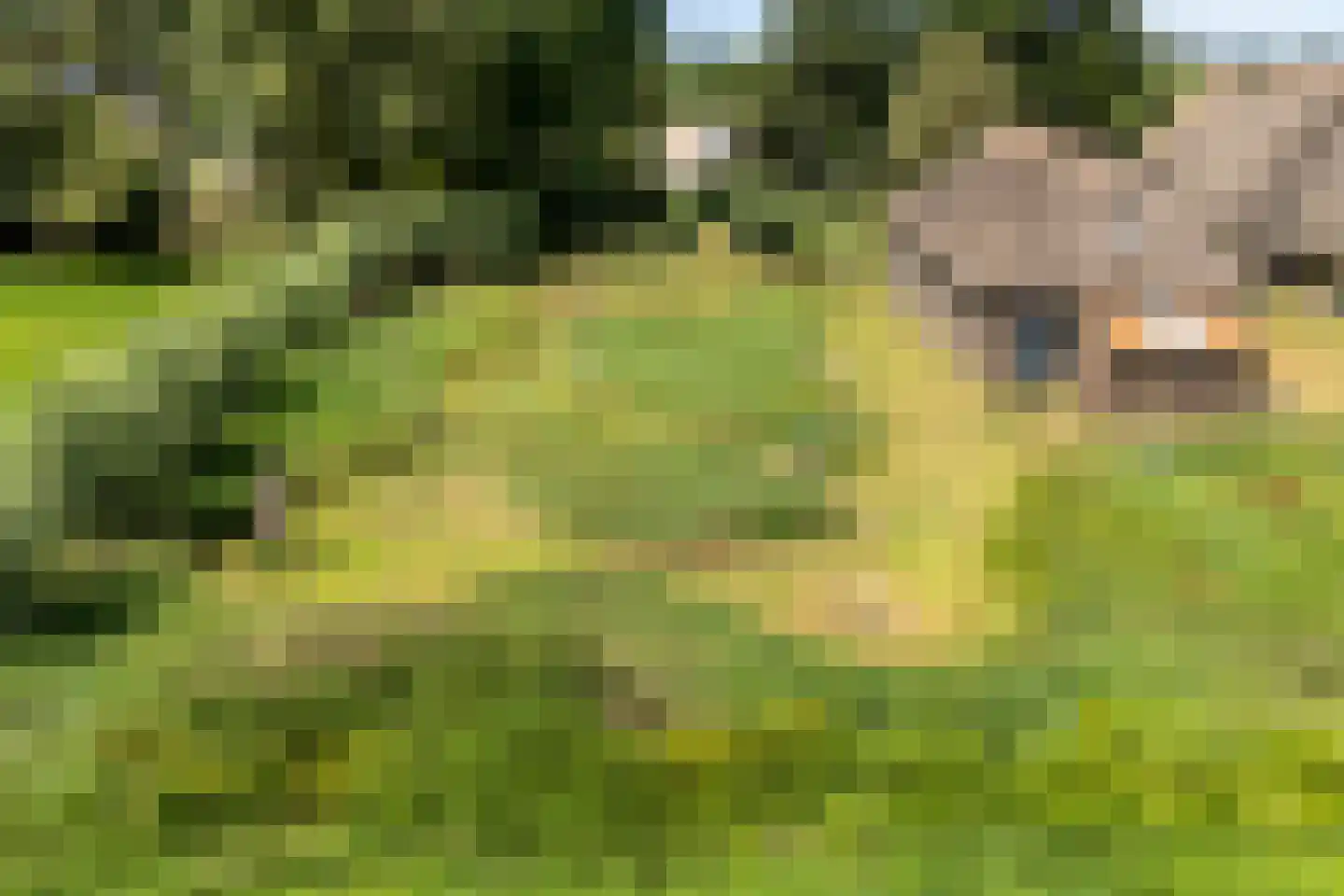 Klosseweg 1 Wanneperveen thumbnail 10