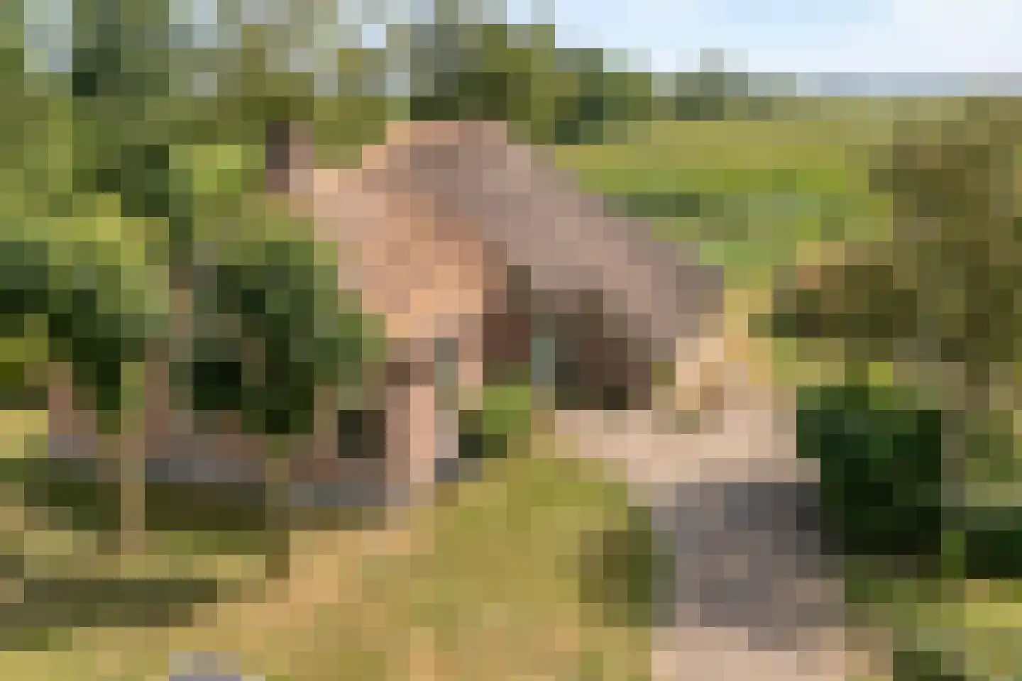 Klosseweg 1 Wanneperveen thumbnail 11