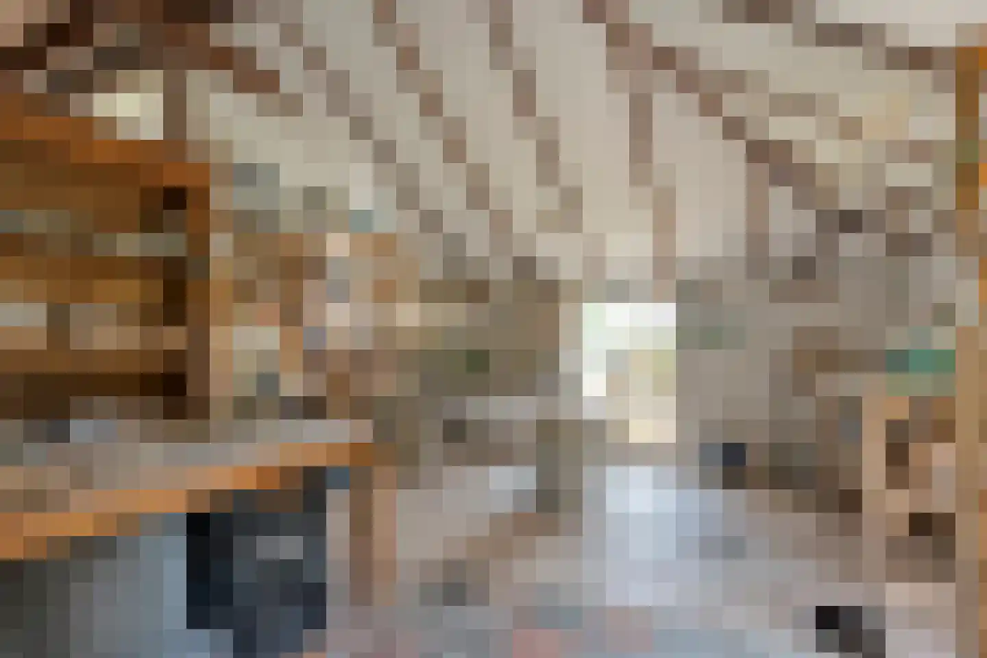 Klosseweg 1 Wanneperveen thumbnail 28