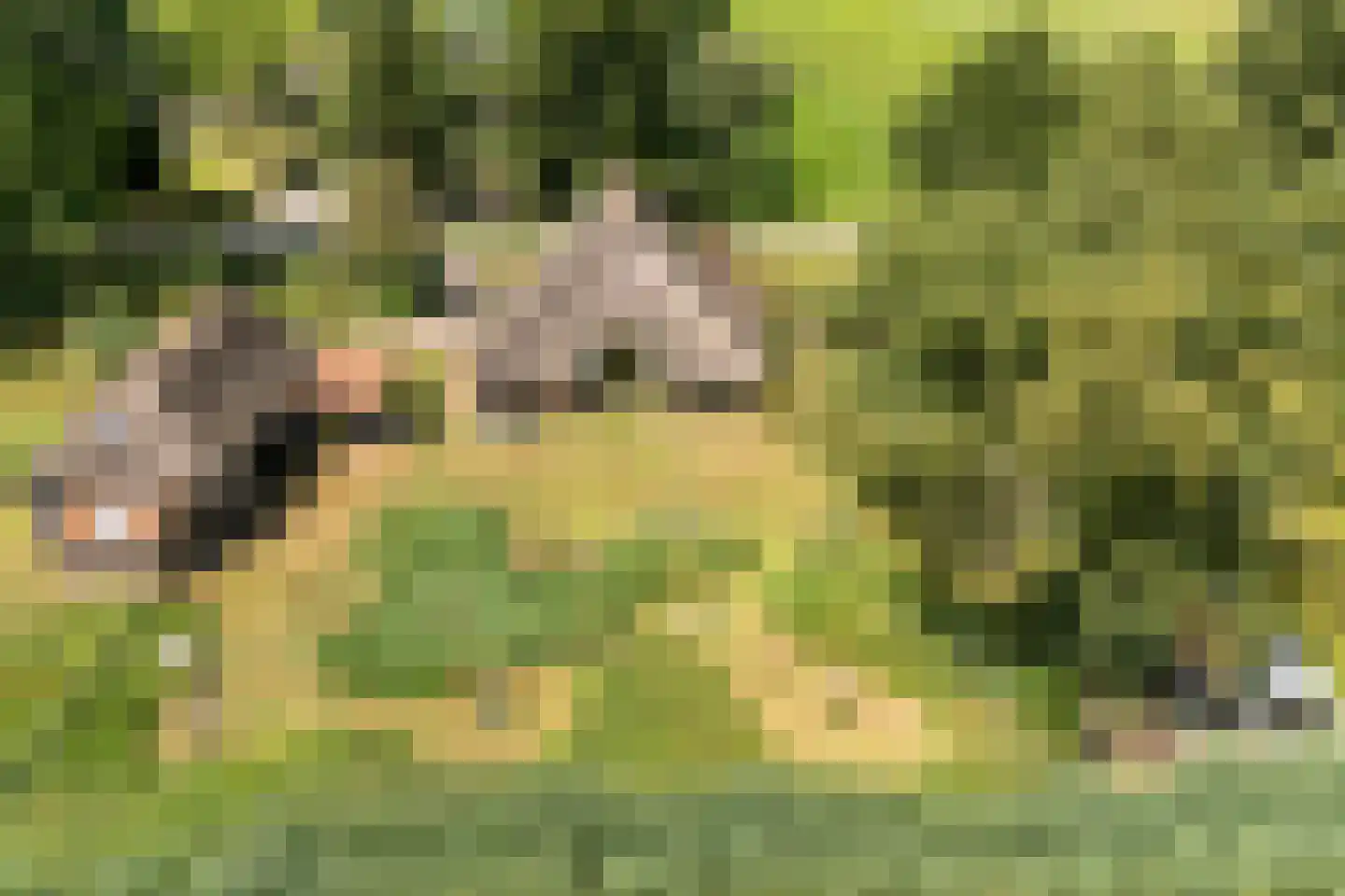 Klosseweg 1 Wanneperveen foto 3