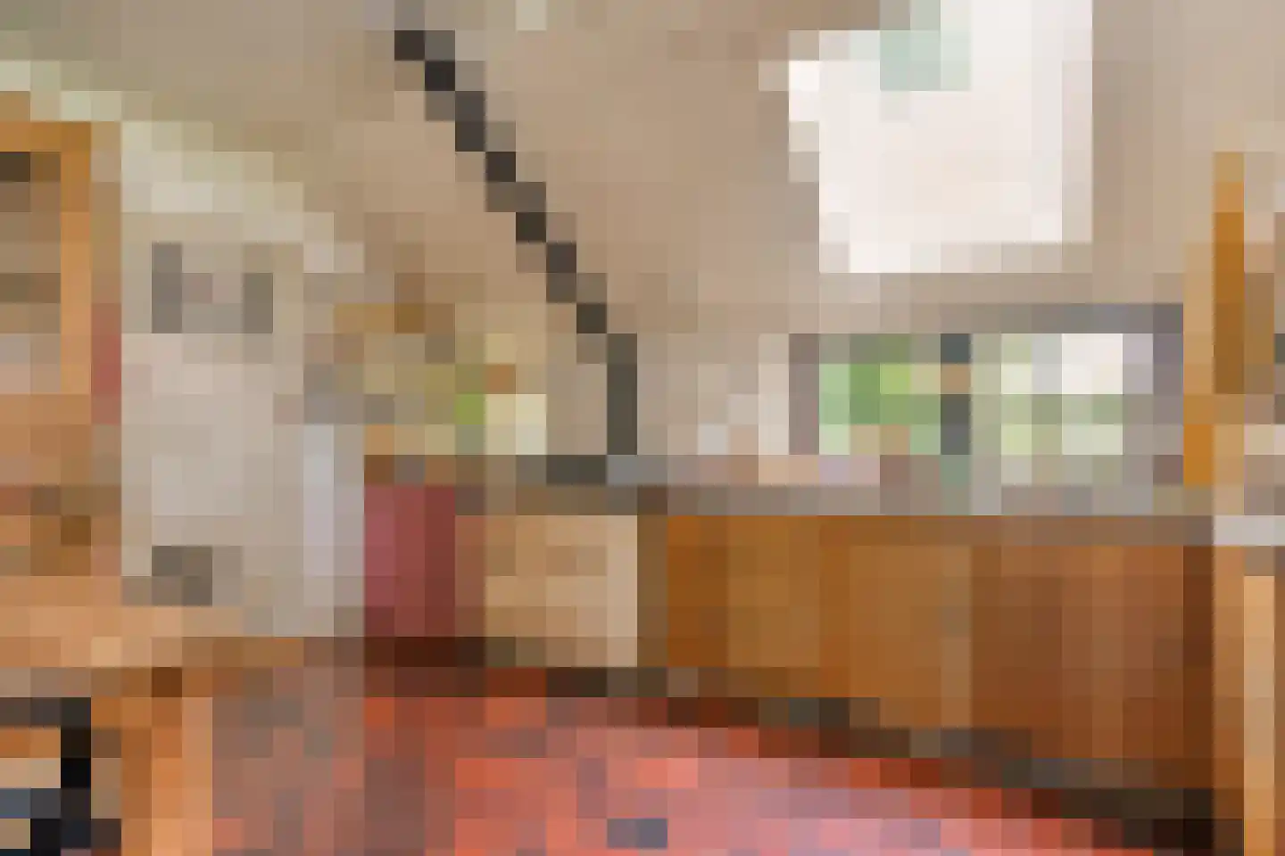 Klosseweg 1 Wanneperveen thumbnail 33