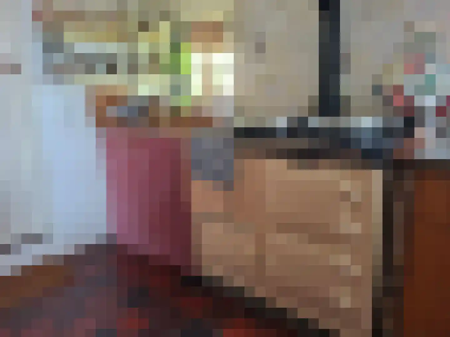 Klosseweg 1 Wanneperveen thumbnail 34