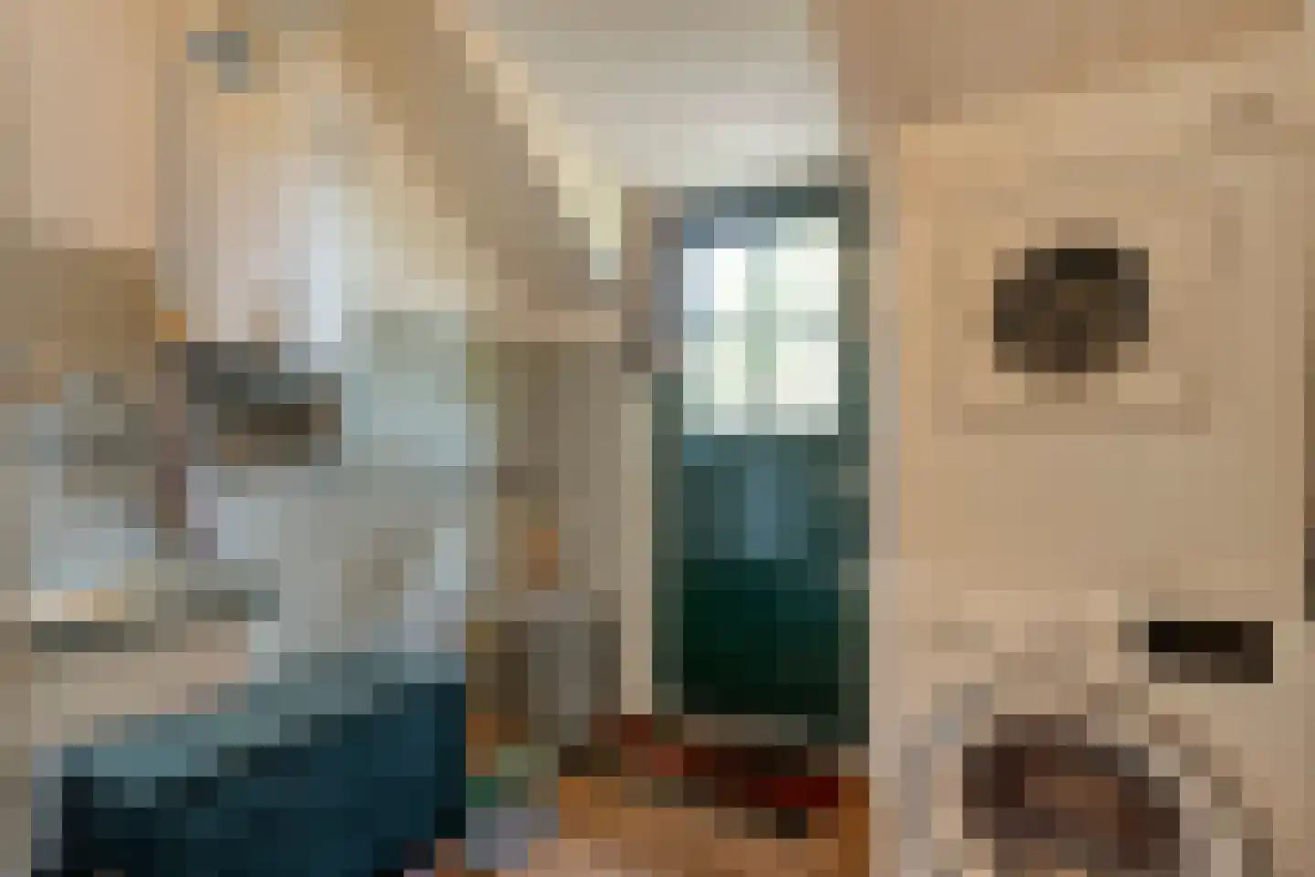 Klosseweg 1 Wanneperveen thumbnail 37
