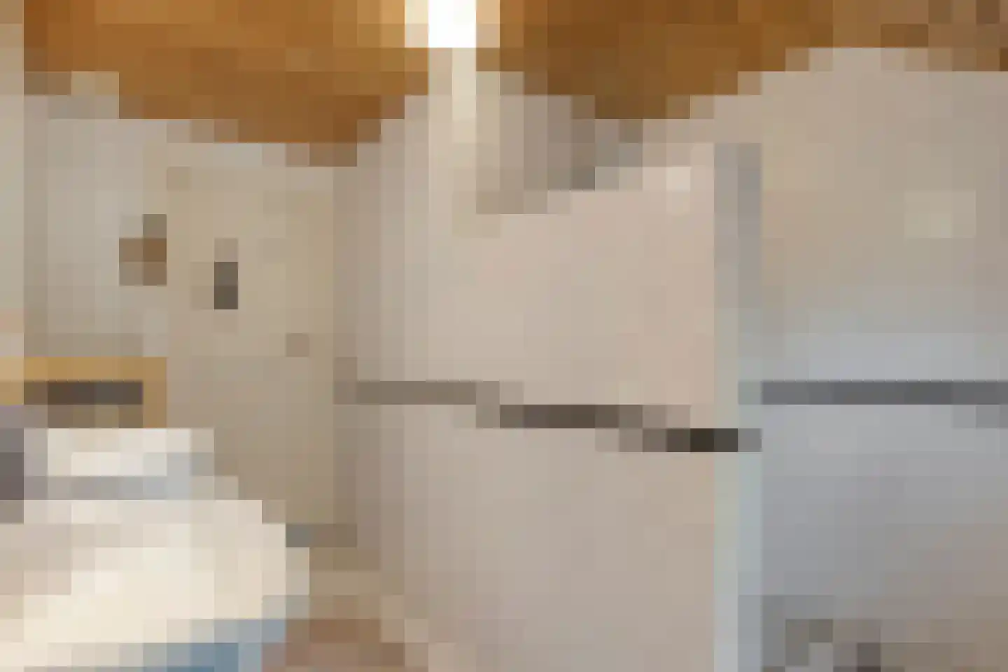 Klosseweg 1 Wanneperveen thumbnail 43