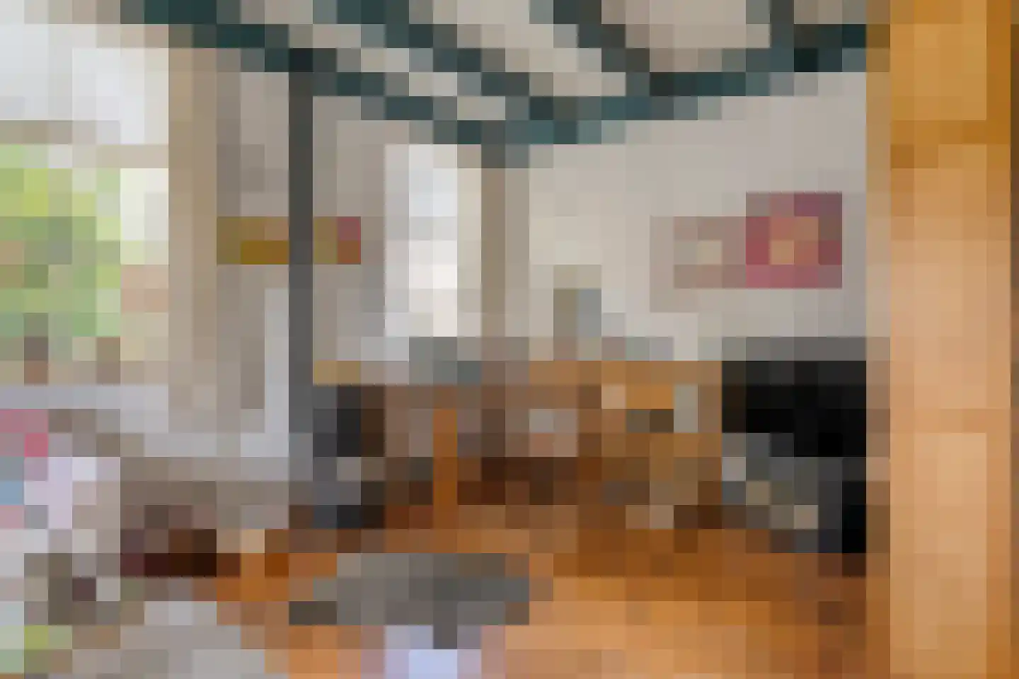 Klosseweg 1 Wanneperveen thumbnail 46