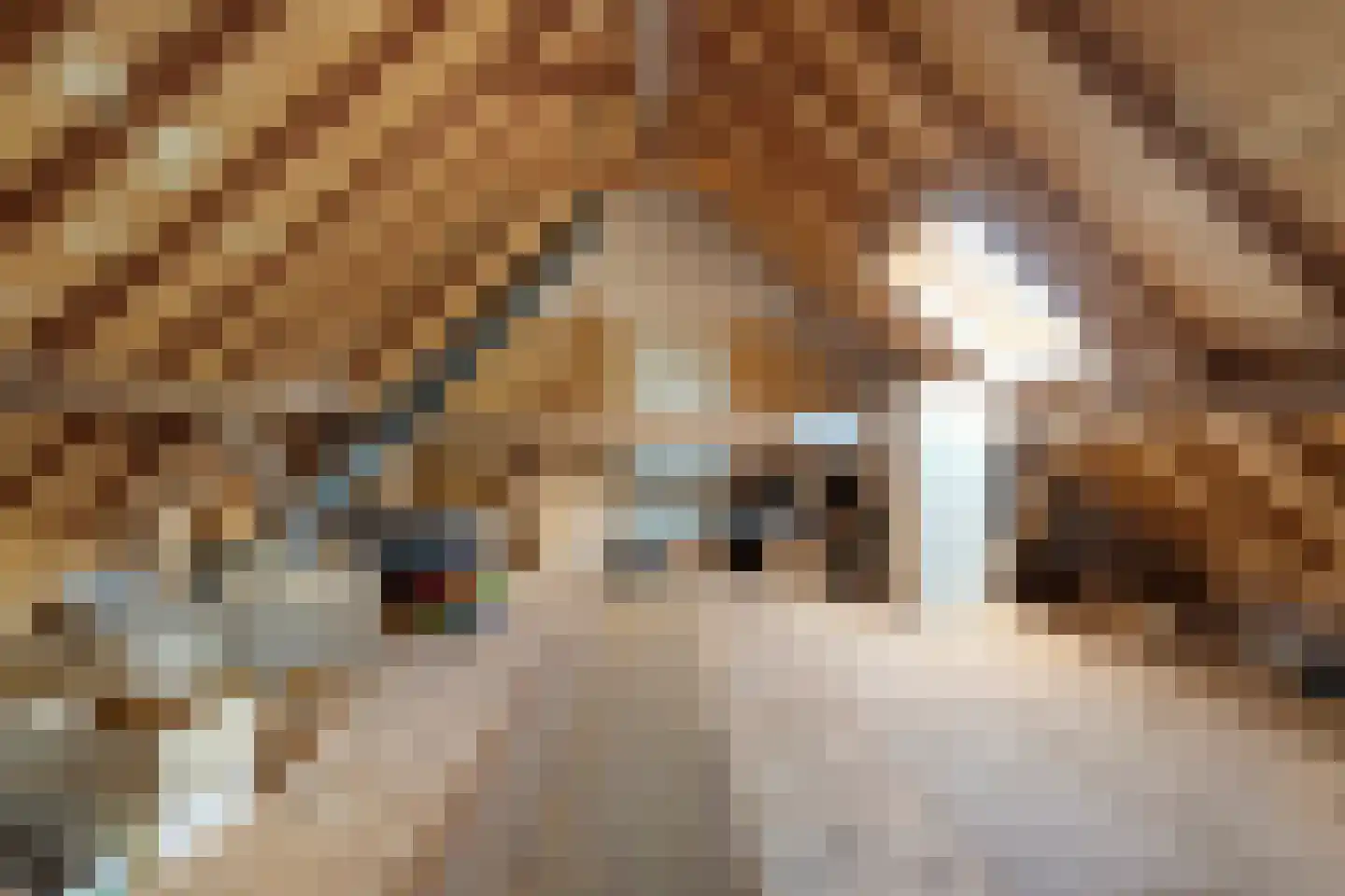 Klosseweg 1 Wanneperveen thumbnail 59