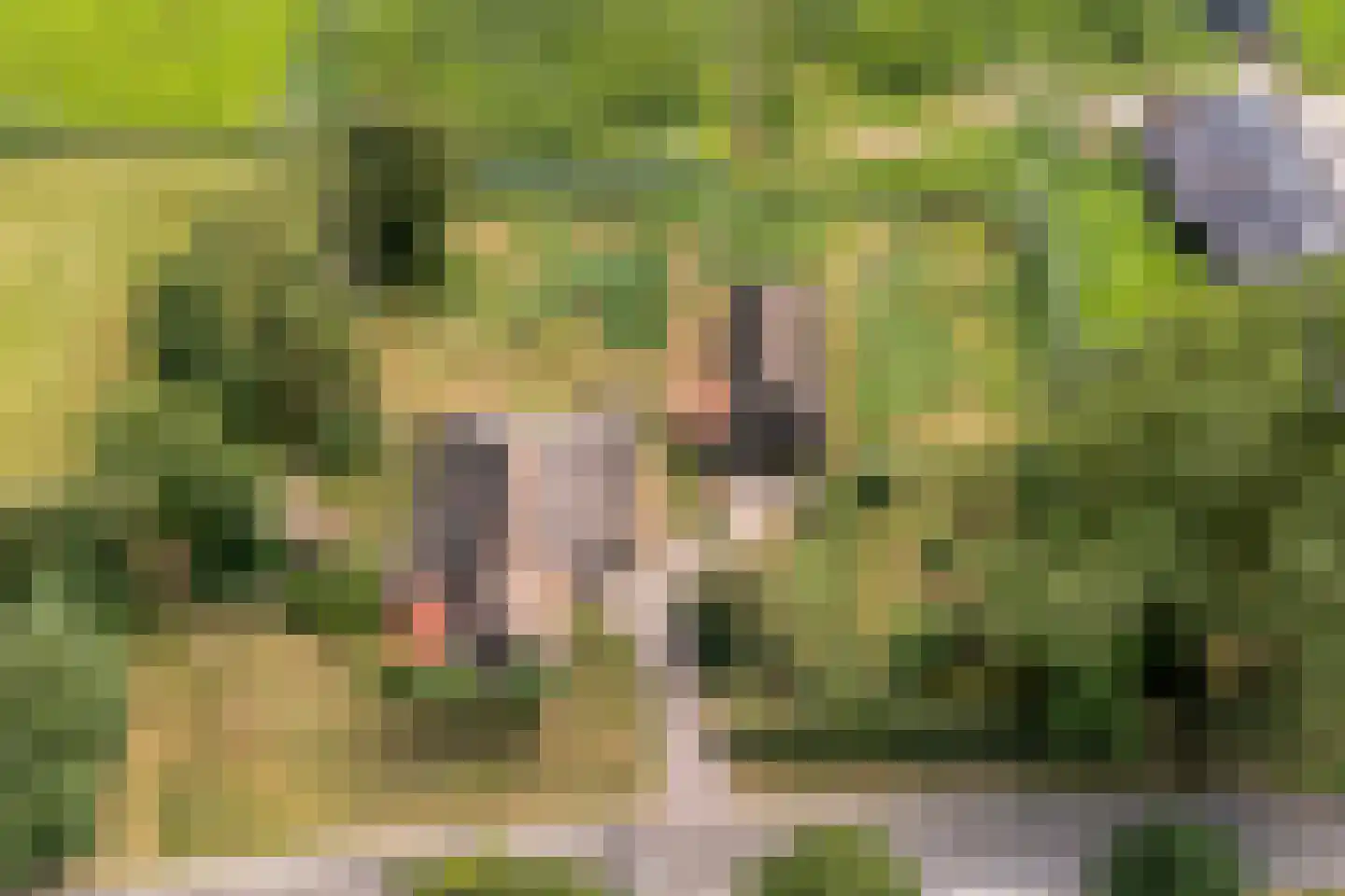 Klosseweg 1 Wanneperveen thumbnail 6