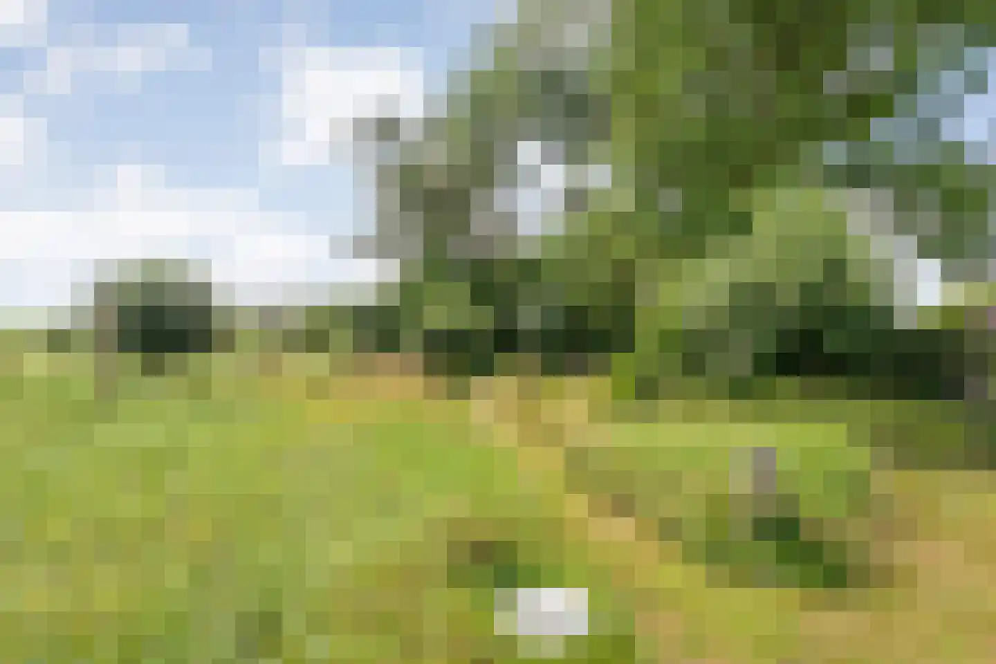 Klosseweg 1 Wanneperveen thumbnail 69