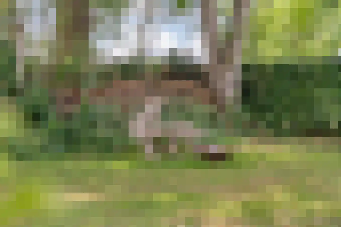 Klosseweg 1 Wanneperveen thumbnail 70