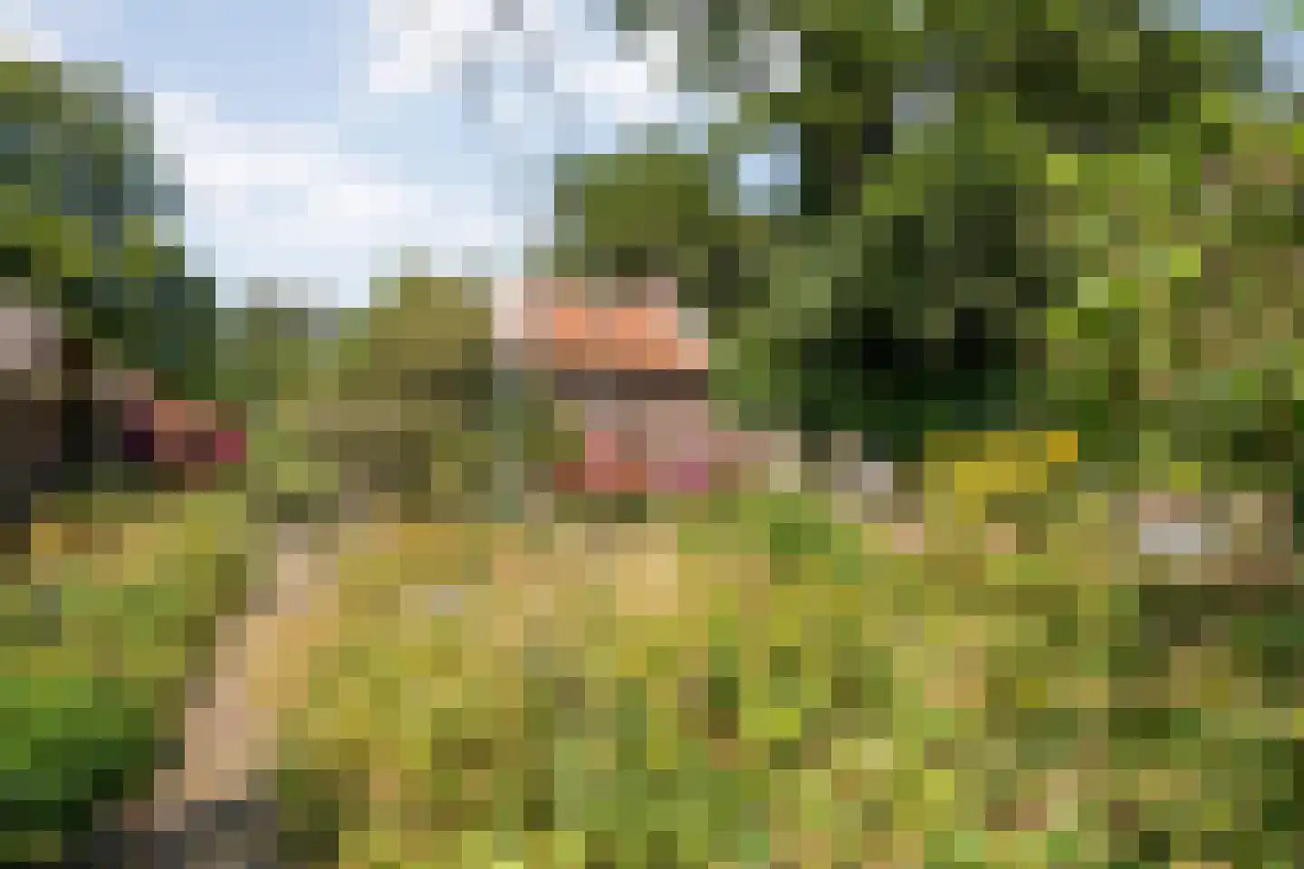 Klosseweg 1 Wanneperveen thumbnail 78