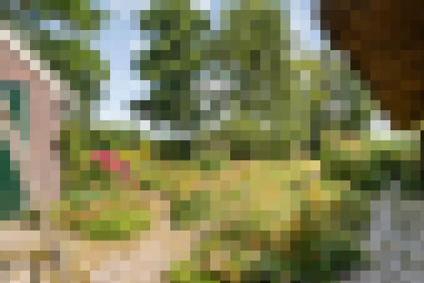 Klosseweg 1 Wanneperveen thumbnail 79