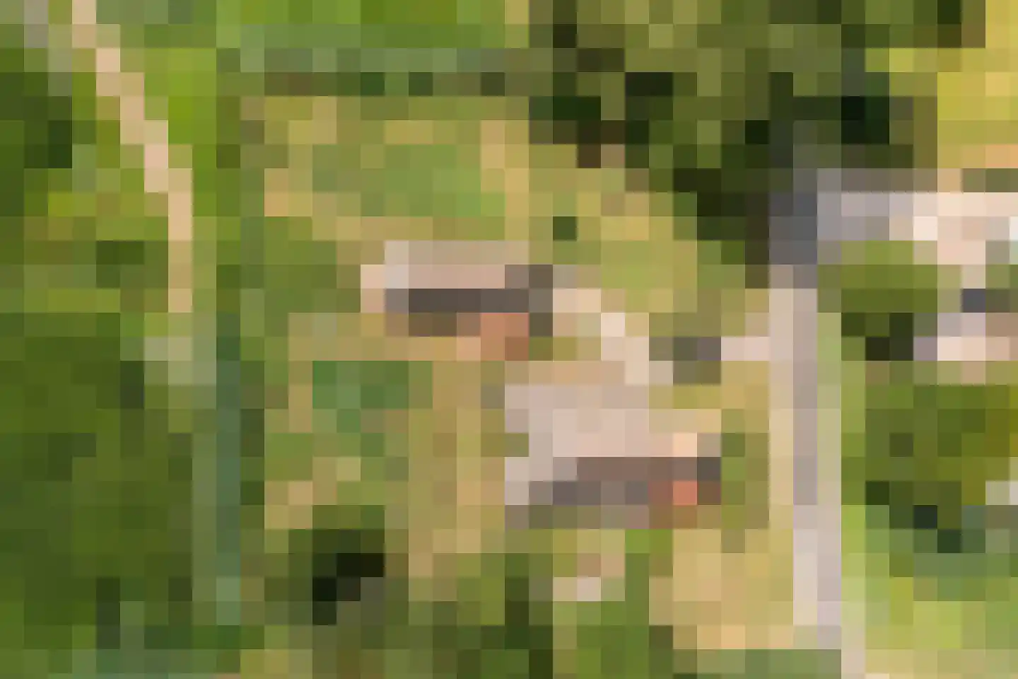 Klosseweg 1 Wanneperveen thumbnail 8