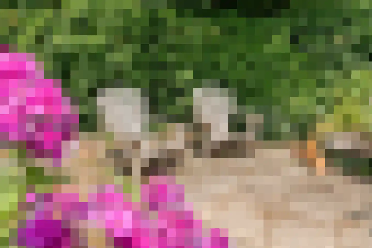 Klosseweg 1 Wanneperveen thumbnail 80