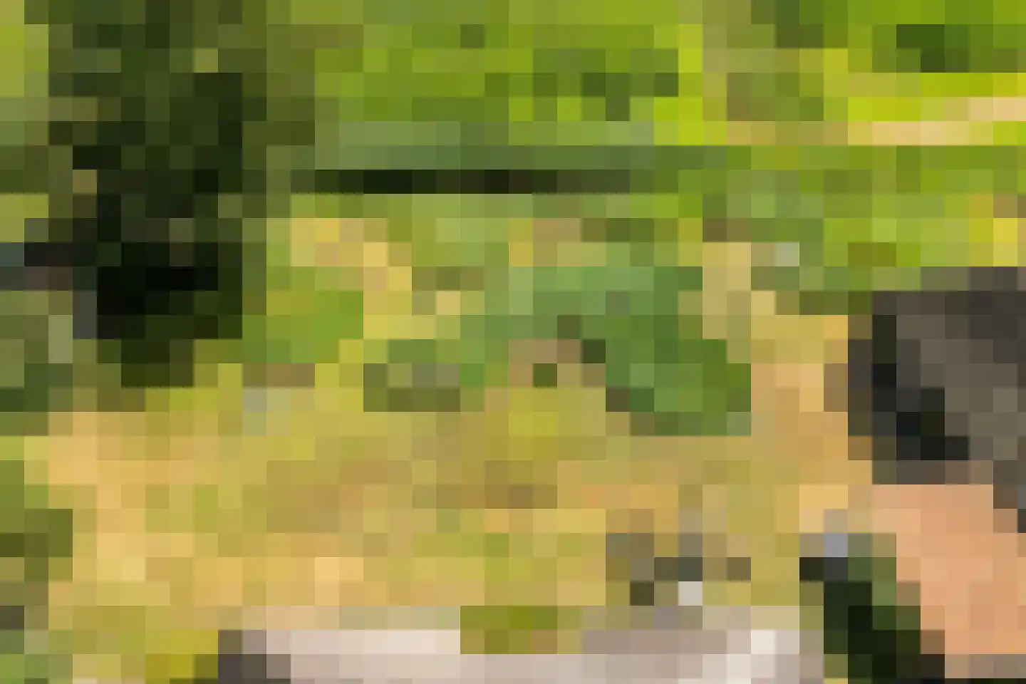 Klosseweg 1 Wanneperveen thumbnail 9