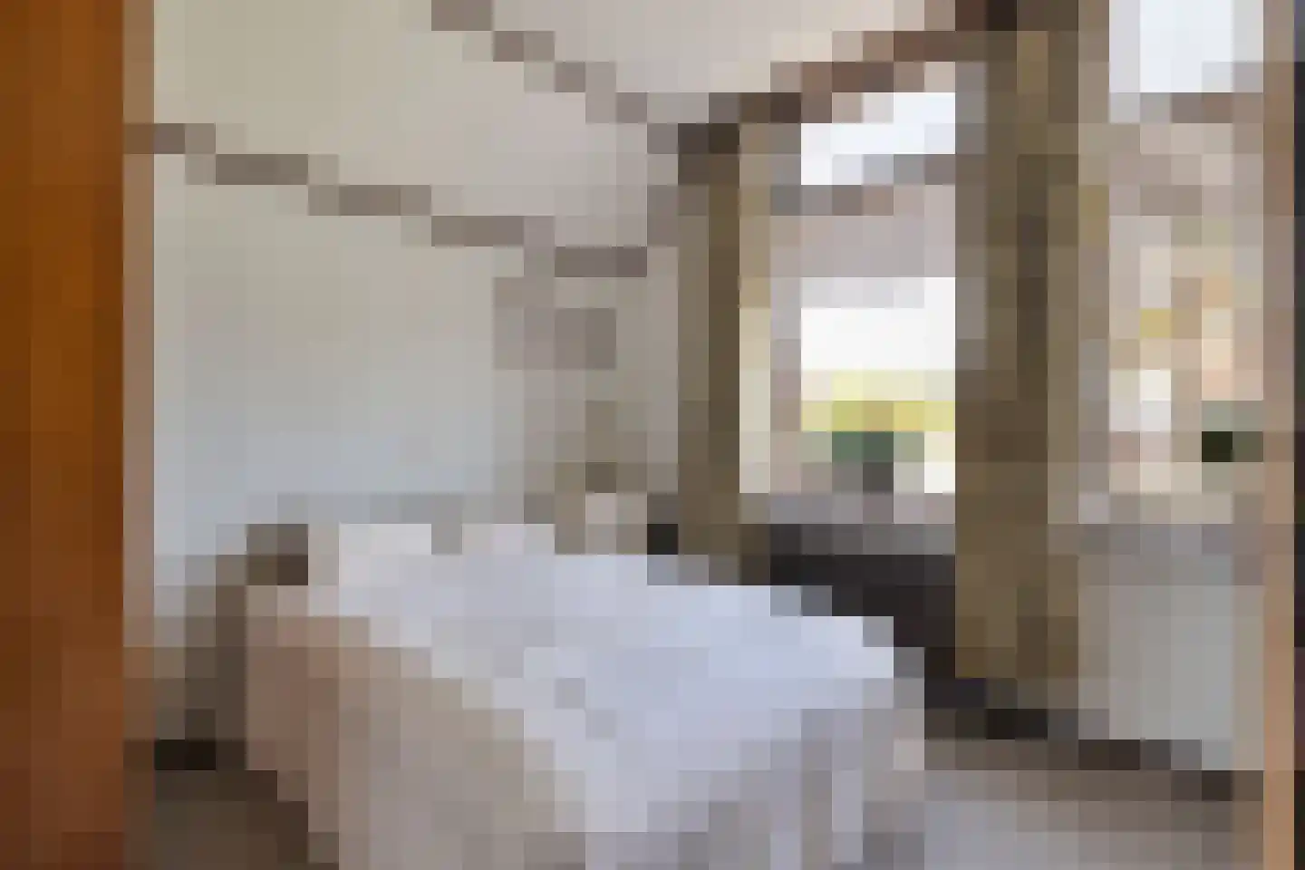 Klösseweg 17 Harbrinkhoek thumbnail 16