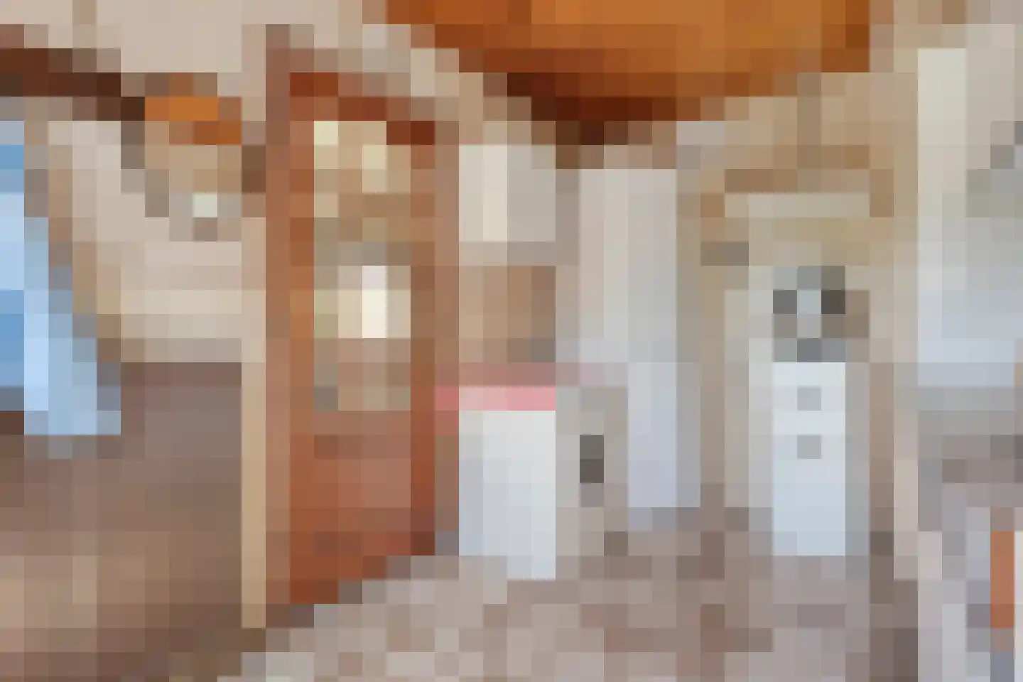 Klösseweg 17 Harbrinkhoek thumbnail 23