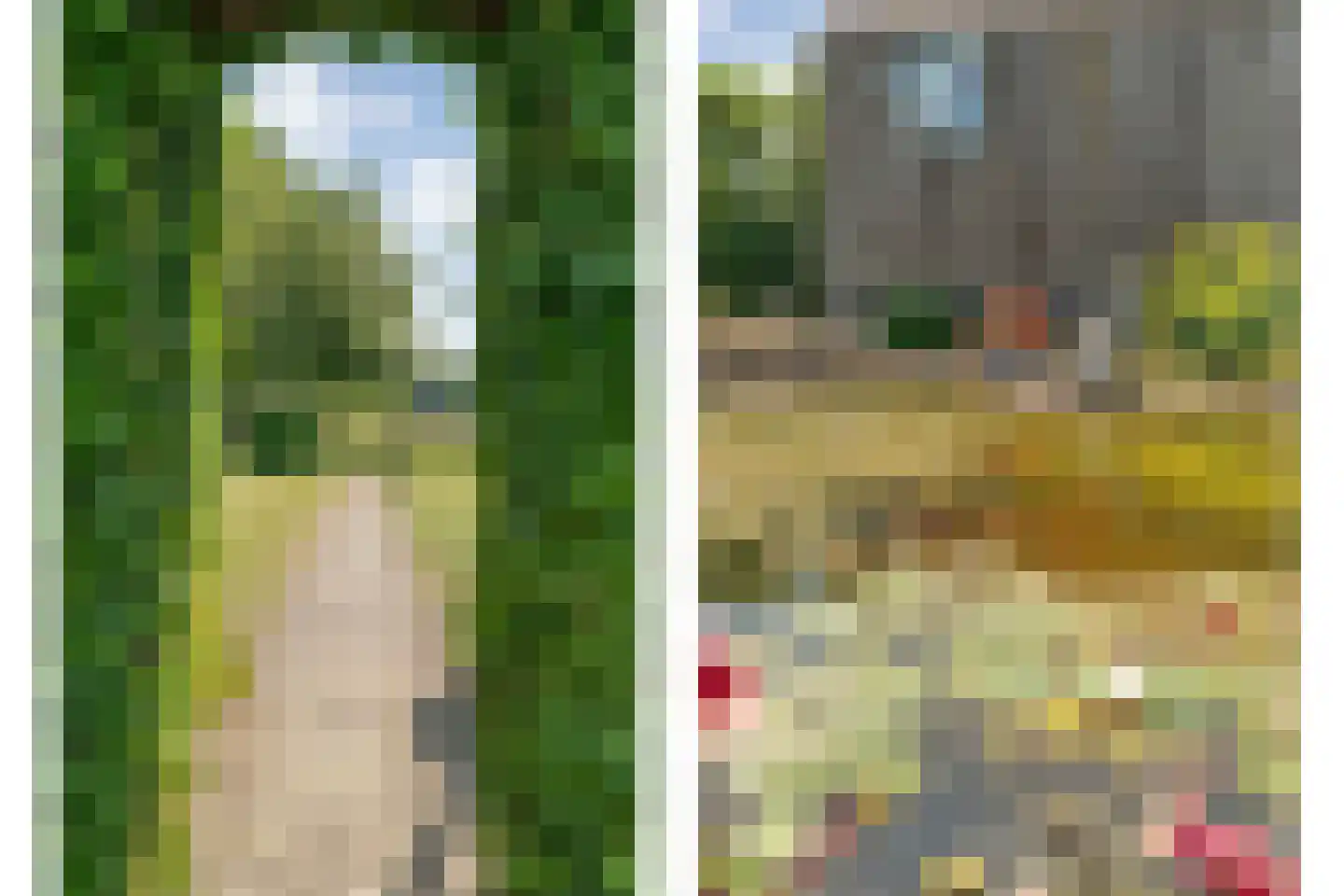 Klösseweg 17 Harbrinkhoek thumbnail 26