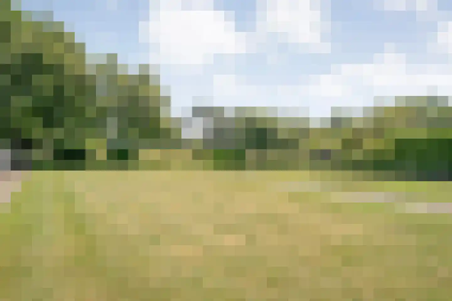 Klösseweg 17 Harbrinkhoek thumbnail 29
