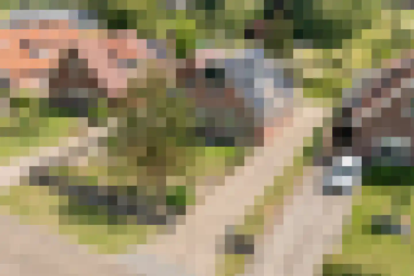 Klösseweg 17 Harbrinkhoek thumbnail 31
