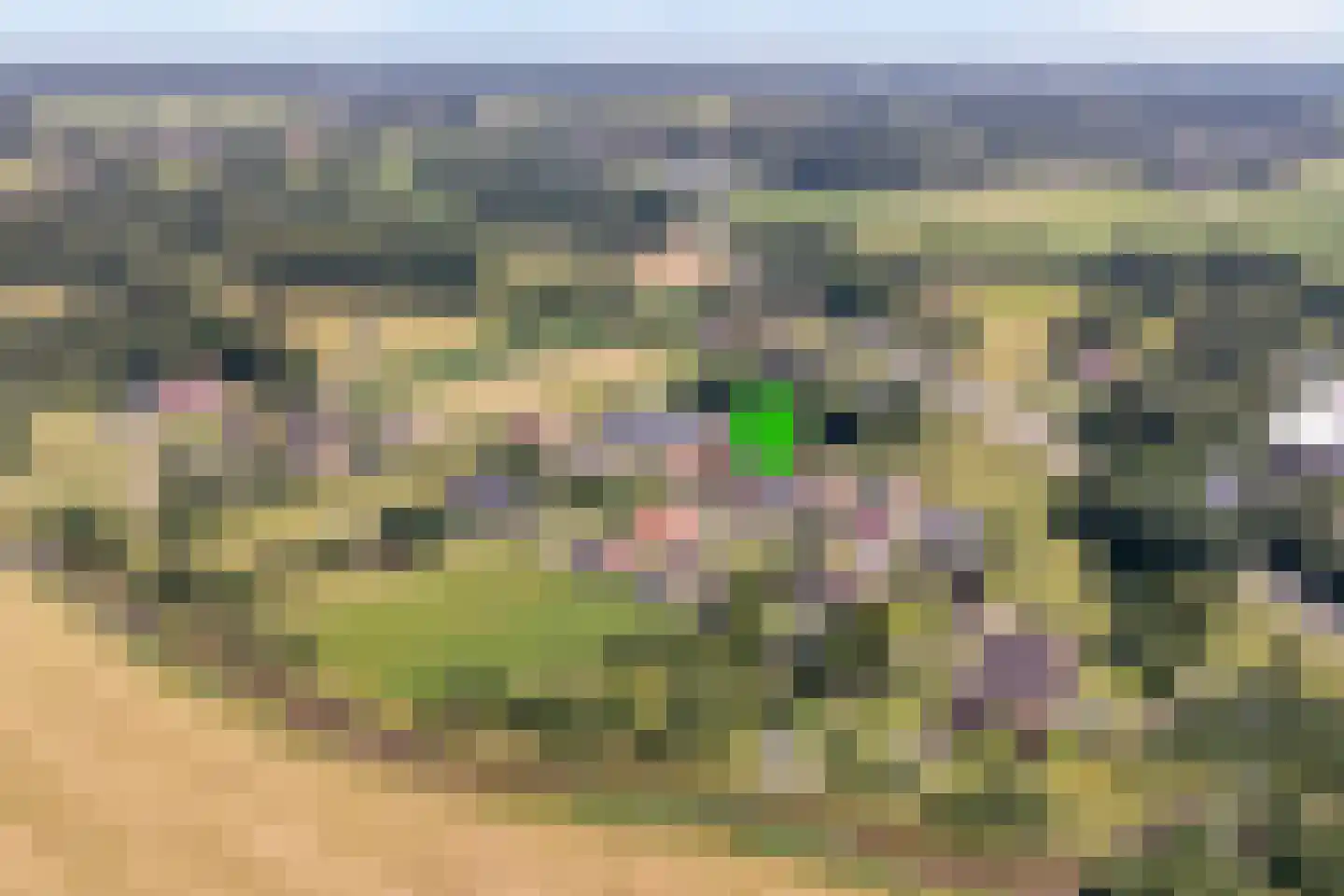 Klösseweg 17 Harbrinkhoek thumbnail 33