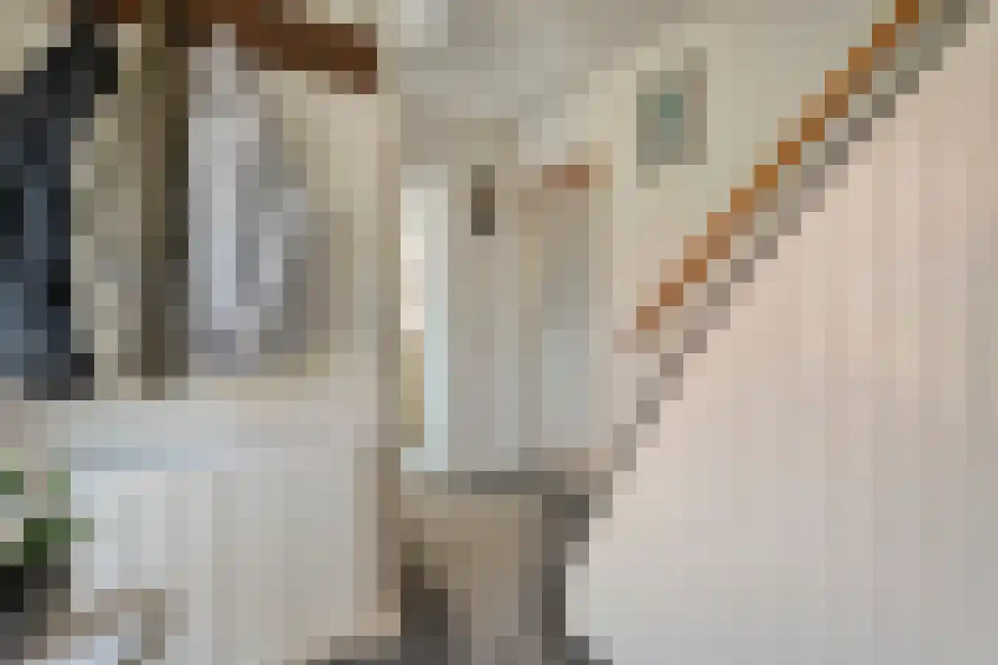 Klösseweg 17 Harbrinkhoek thumbnail 6