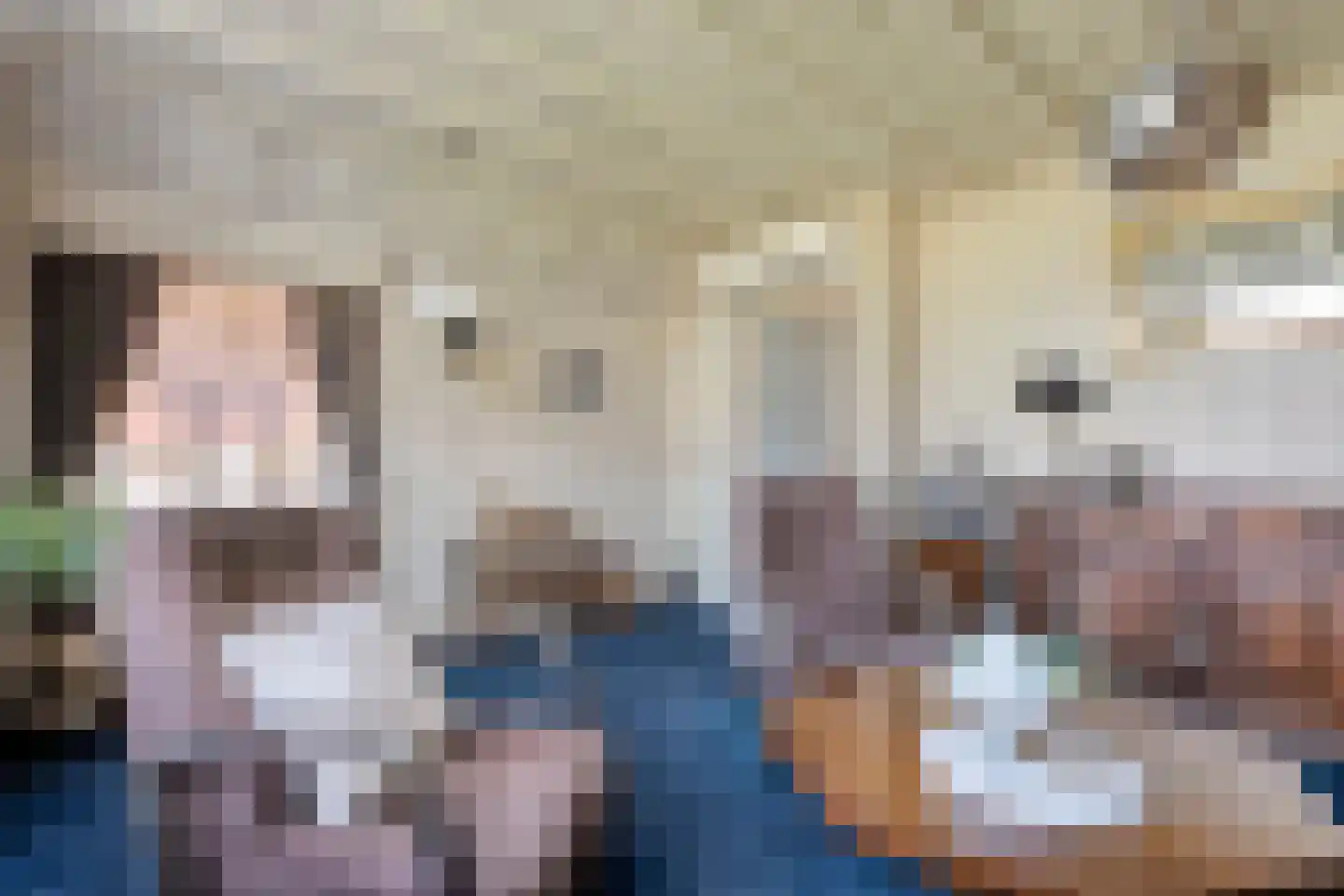 Klösseweg 17 Harbrinkhoek thumbnail 9