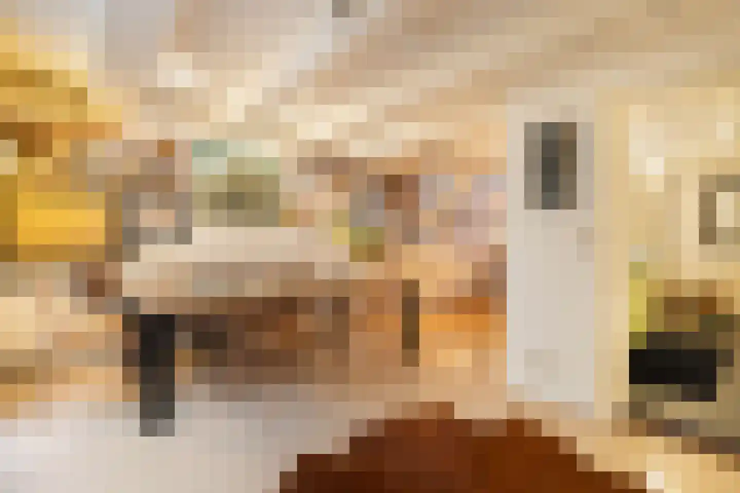 Kloveniersburgwal 101 A Amsterdam thumbnail 23
