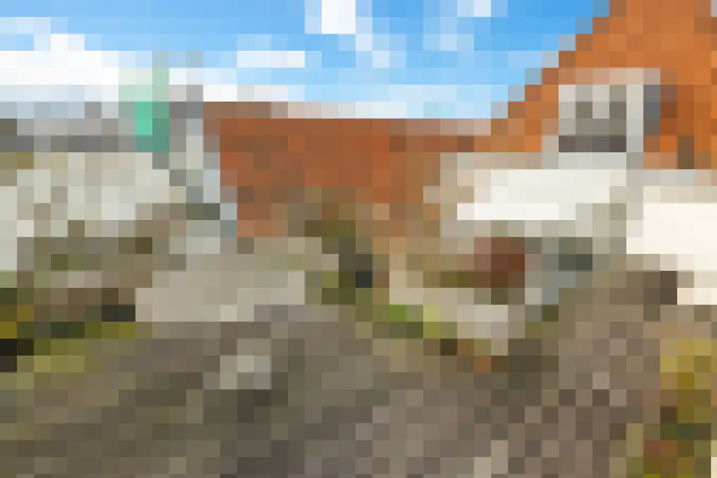 Kloveniersburgwal 101 A Amsterdam thumbnail 55