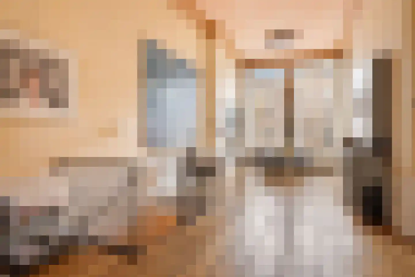 Kloveniersburgwal 101 A Amsterdam thumbnail 6