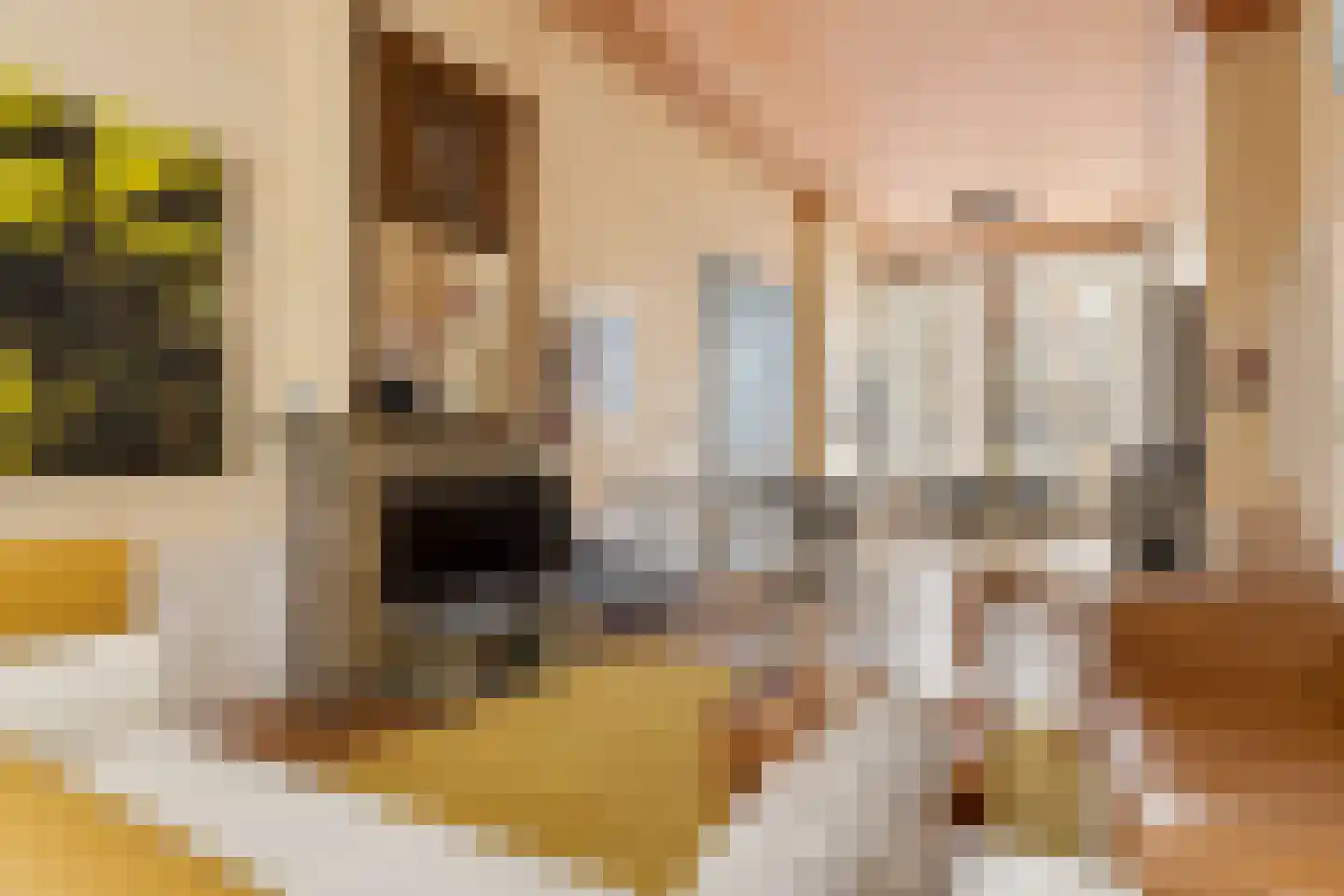 Kloveniersburgwal 101 A Amsterdam thumbnail 7