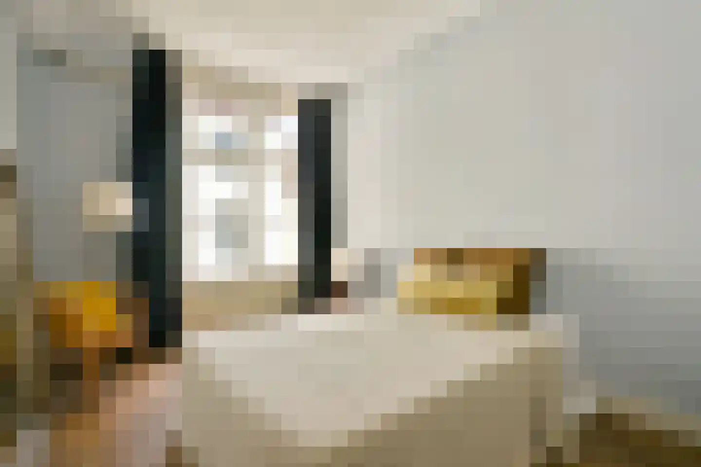 Kloveniersburgwal 103 1V Amsterdam thumbnail 22