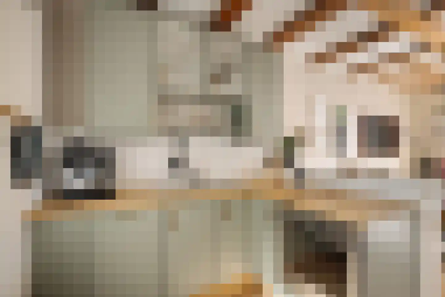 Kloveniersburgwal 113 B Amsterdam thumbnail 7
