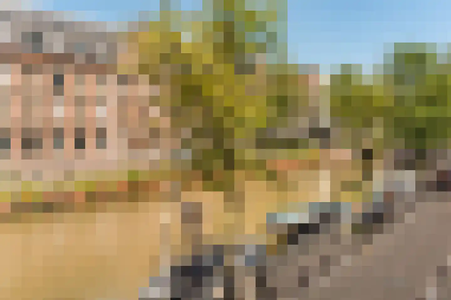 Kloveniersburgwal 55 Amsterdam thumbnail 16