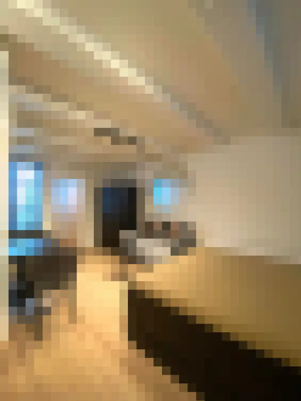 Kloveniersburgwal 7 Amsterdam thumbnail 5