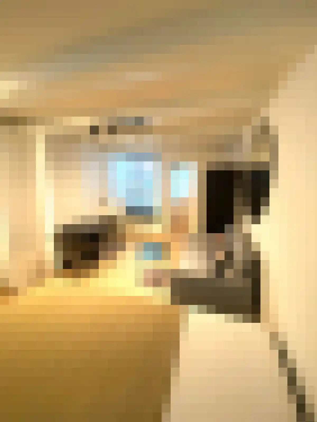 Kloveniersburgwal 7 Amsterdam thumbnail 6