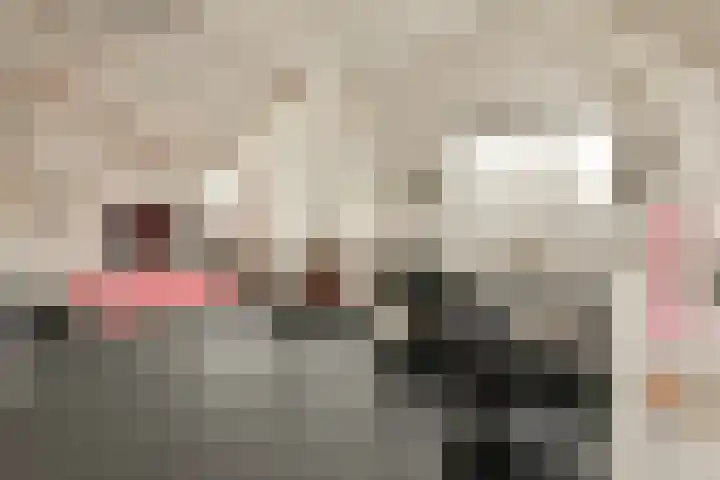 Kloveniersburgwal 75 D Amsterdam thumbnail 23